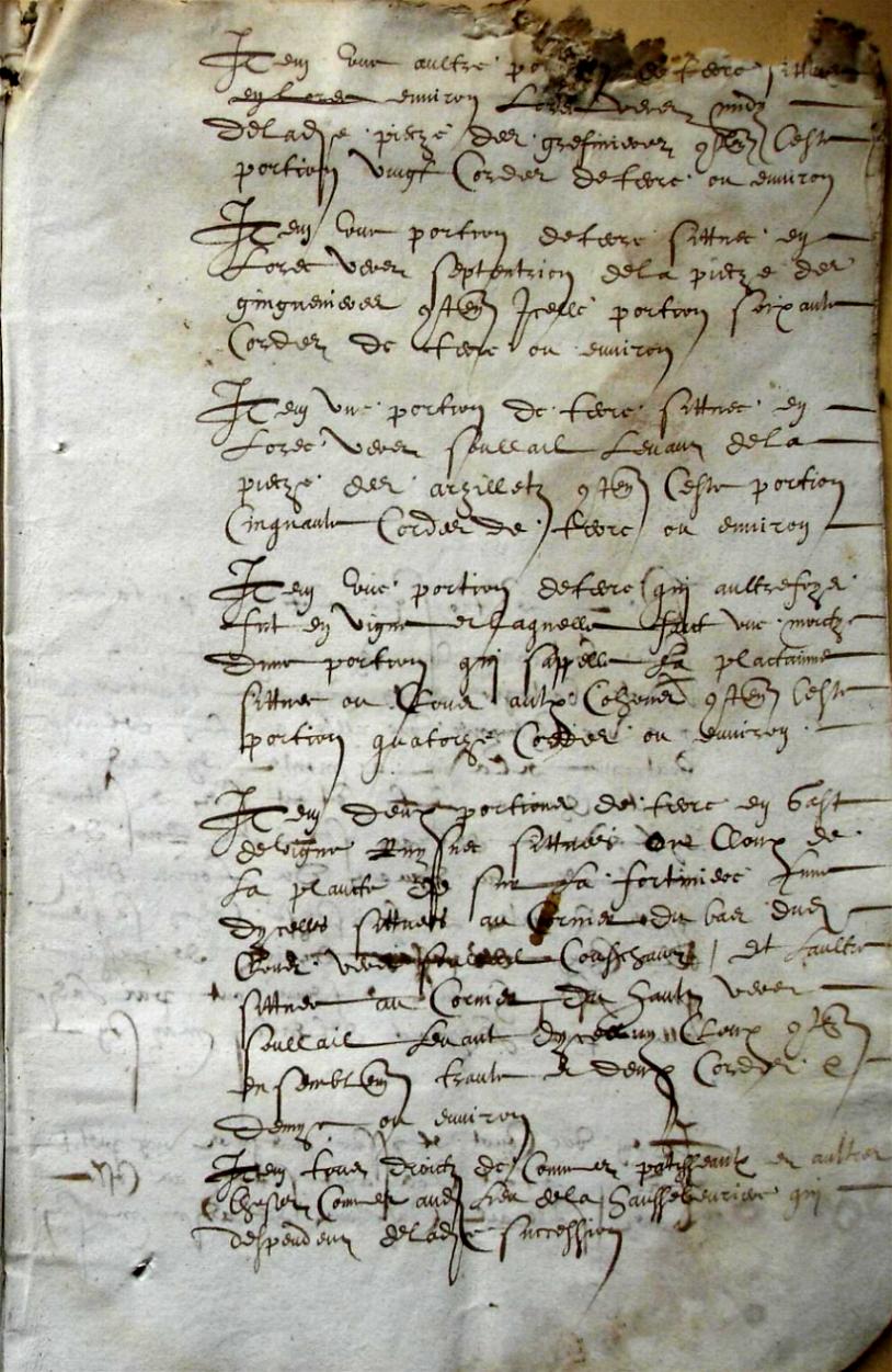 Cohon-G_1615 (7).JPG